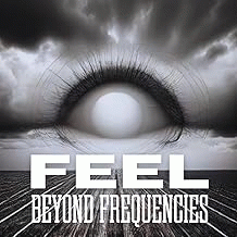 Beyond Frequencies : Feel